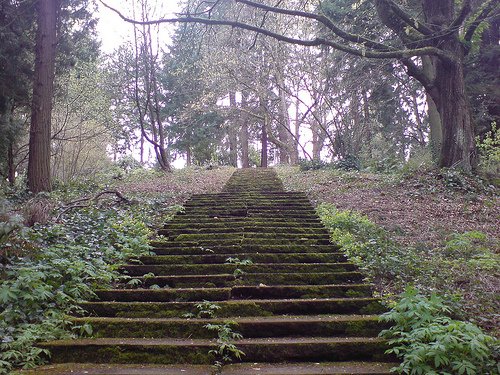 Washington park