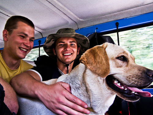 Buscando el medio de viaje más económico