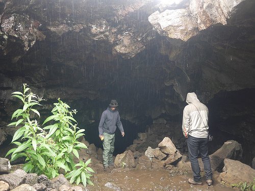 Cueva