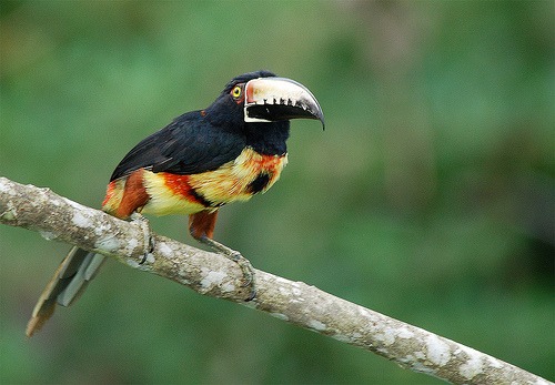 panama-y-sus-parajes-naturales