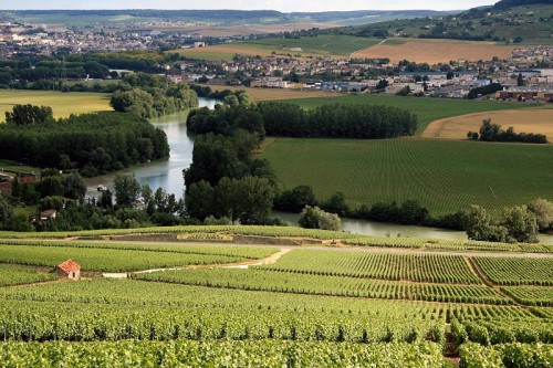 Recorrido por la región vinícola de Champaña, Francia