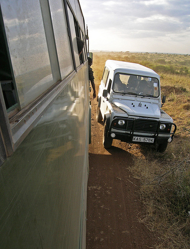 Los safaris en Kenia