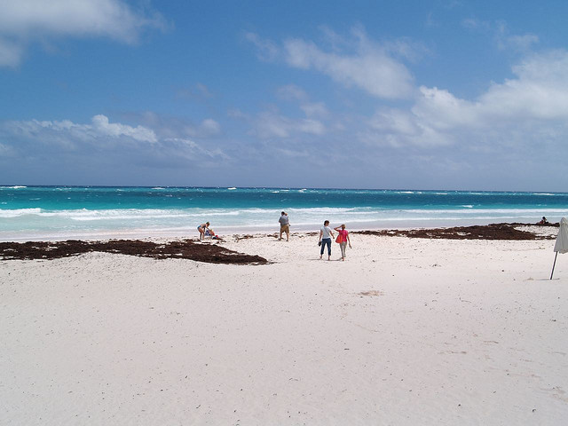 pink_sands