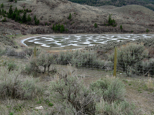 Spotted Lake