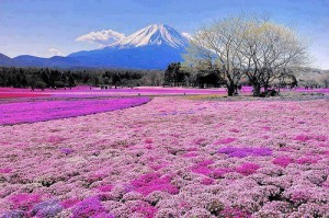 Viaje al monte Fuji, Japón