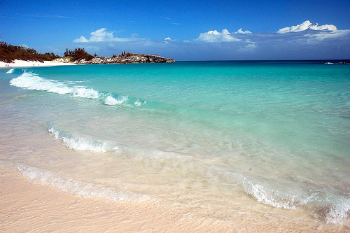 pink_beach_bermuda