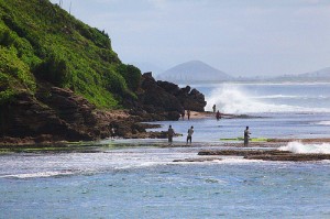 La isla de Madagascar y su notable biodiversidad