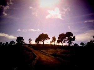 El Hierro, ecoturismo en una Smart Island