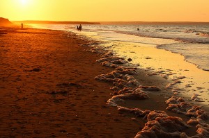 Viaje a la isla del Príncipe Eduardo, Canadá