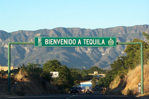 El municipio de Tequila, México: agave, destilerías y tradición