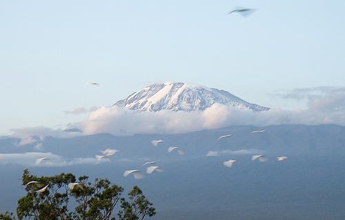 Escalar el Monte Kilimanjaro