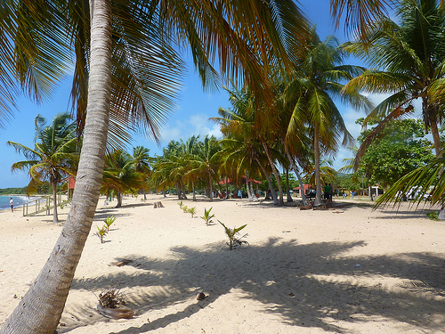 Playas de Isla de Vieques