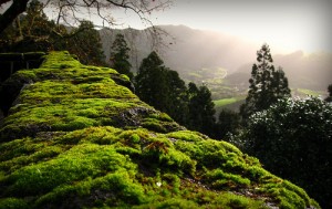 Las islas Azores, una escondida maravilla de la naturaleza