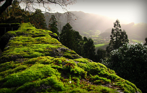 Las islas Azores, una escondida maravilla de la naturaleza