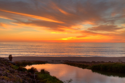 Las playas cercanas a Todos Santos