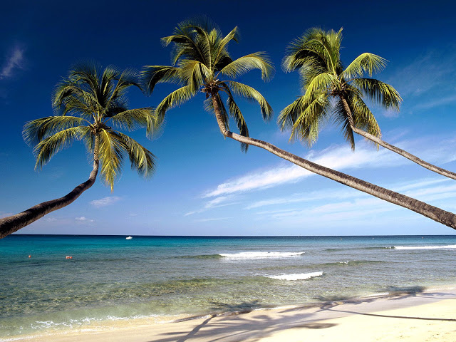 Una Joya perdida: La isla de Barbados