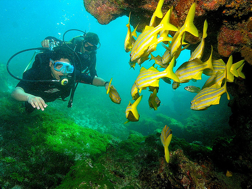 Buceo en Fernando de Noronha