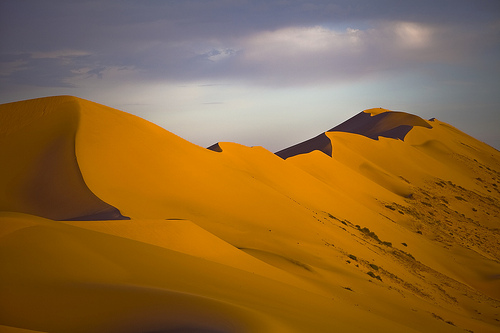 Dunas de Gobi