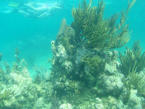 El Cayo Ambergris en Belice, un paraíso de bolsillo