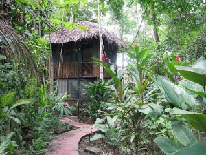 El Panchán, un hotel mítico en el Palenque mexicano