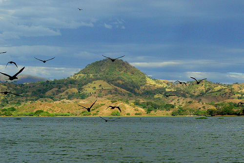 Isla de Los Pájaros