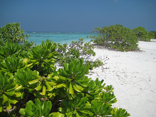 Islas Maldivas