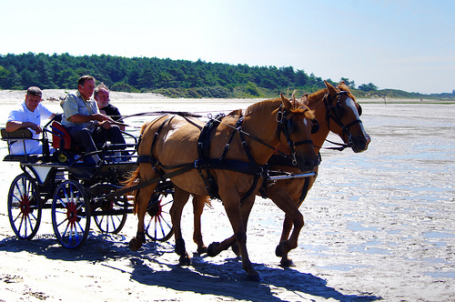 Recorridos por la Bahía de Somme