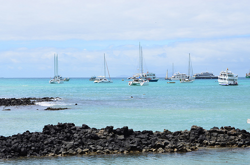 Visitar las Islas de Galápagos