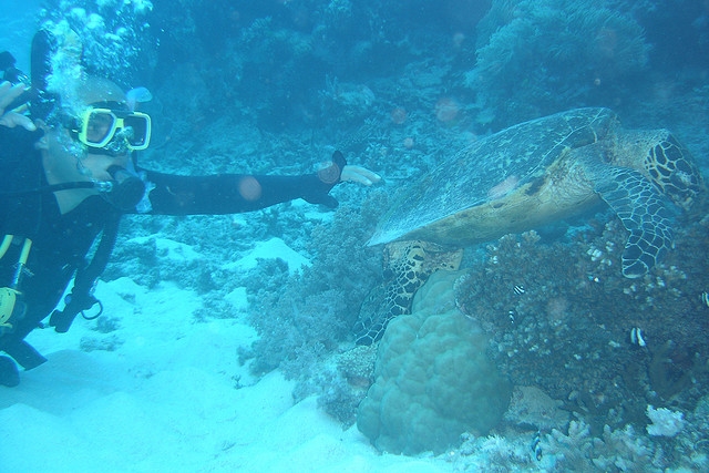 escuelas para bucear en España