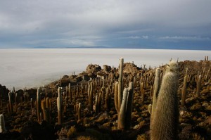 Naufraga en un Mar de Sal en Bolivia