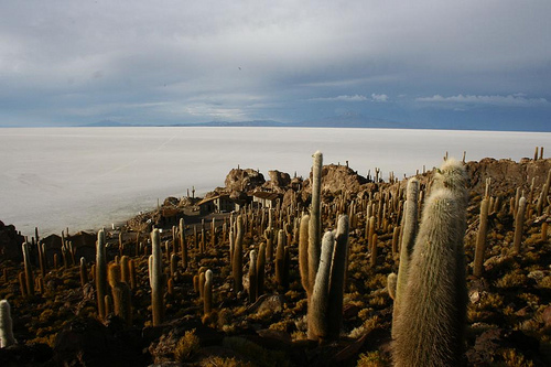 Naufraga en un Mar de Sal en Bolivia