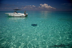 Las Islas Caimán son tres por uno
