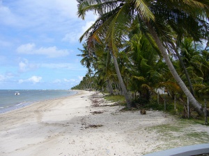 Porto de Galinhas, paraíso natural en el nordeste brasileño