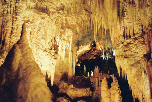 Las Cuevas de Waitomo, el hogar de los gusanos de luz