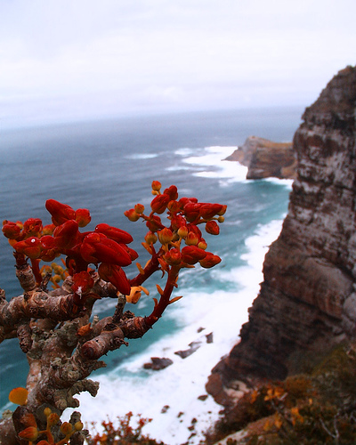 Cabo-de-la-Buena-Esperanza