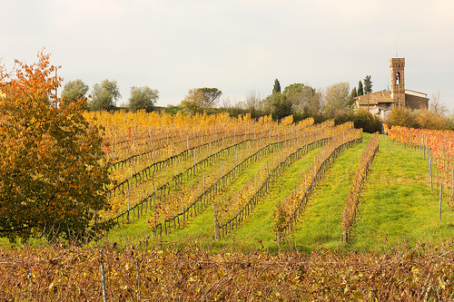 La ruta del vino en Cerdeña, Italia