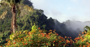 El Parque Khao Sok, una selva encantada al sur de Tailandia