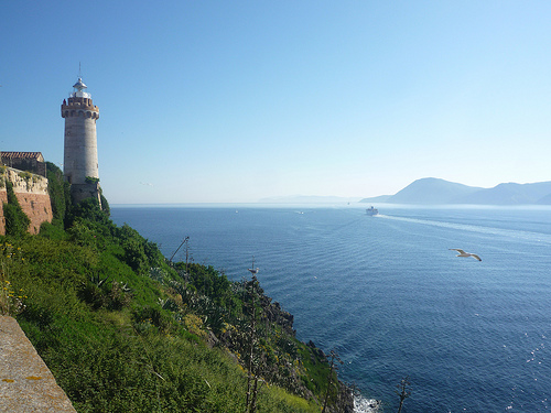 elba faro freshcreator