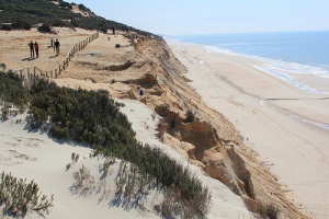El Parque Nacional de Doñana, el diamante del sur de España