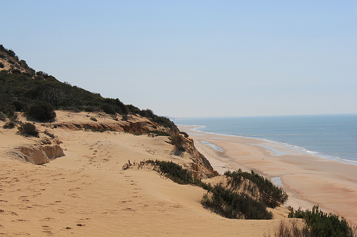Parque Nacional de Doñana