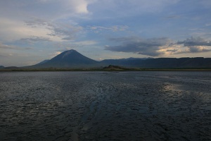 Animales petrificados en el espeluznante Lago Natron, Tanzania