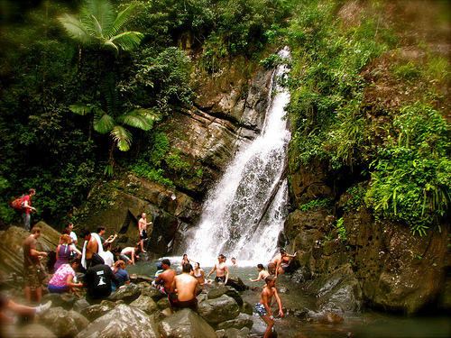 Flora, fauna y lluvia en el Parque Nacional El Yunque, Puerto Rico