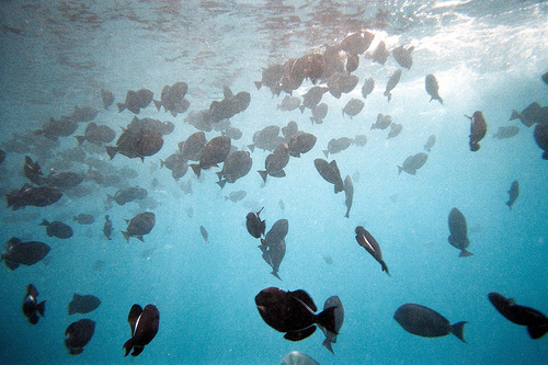 Hoteles submarinos