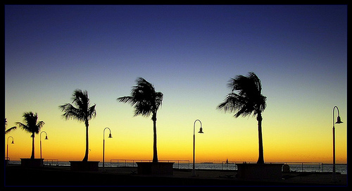 Key-West-Mallory-Square