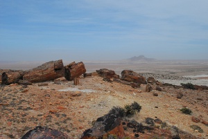 Los bosques petrificados de Jaramillo, Argentina