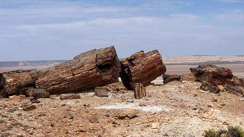Monumento-Natural-Bosques-Petrificados-jaramillo