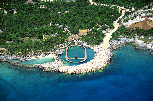 delphinus-riviera-maya