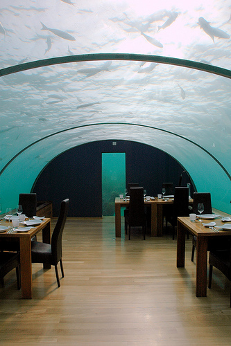 ithaa-underwater-maldivas