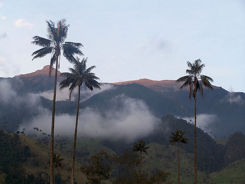 valle-de-cocora-colombia