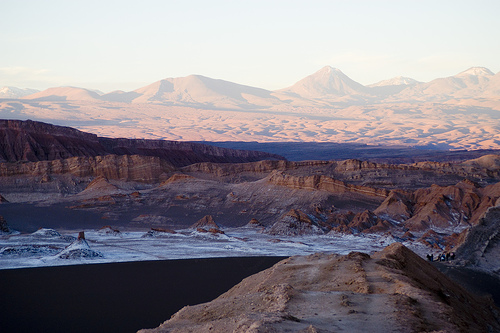 442119687_9ac3e35831